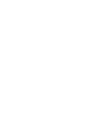 top logo