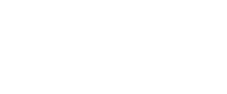 MSA Novo Logo